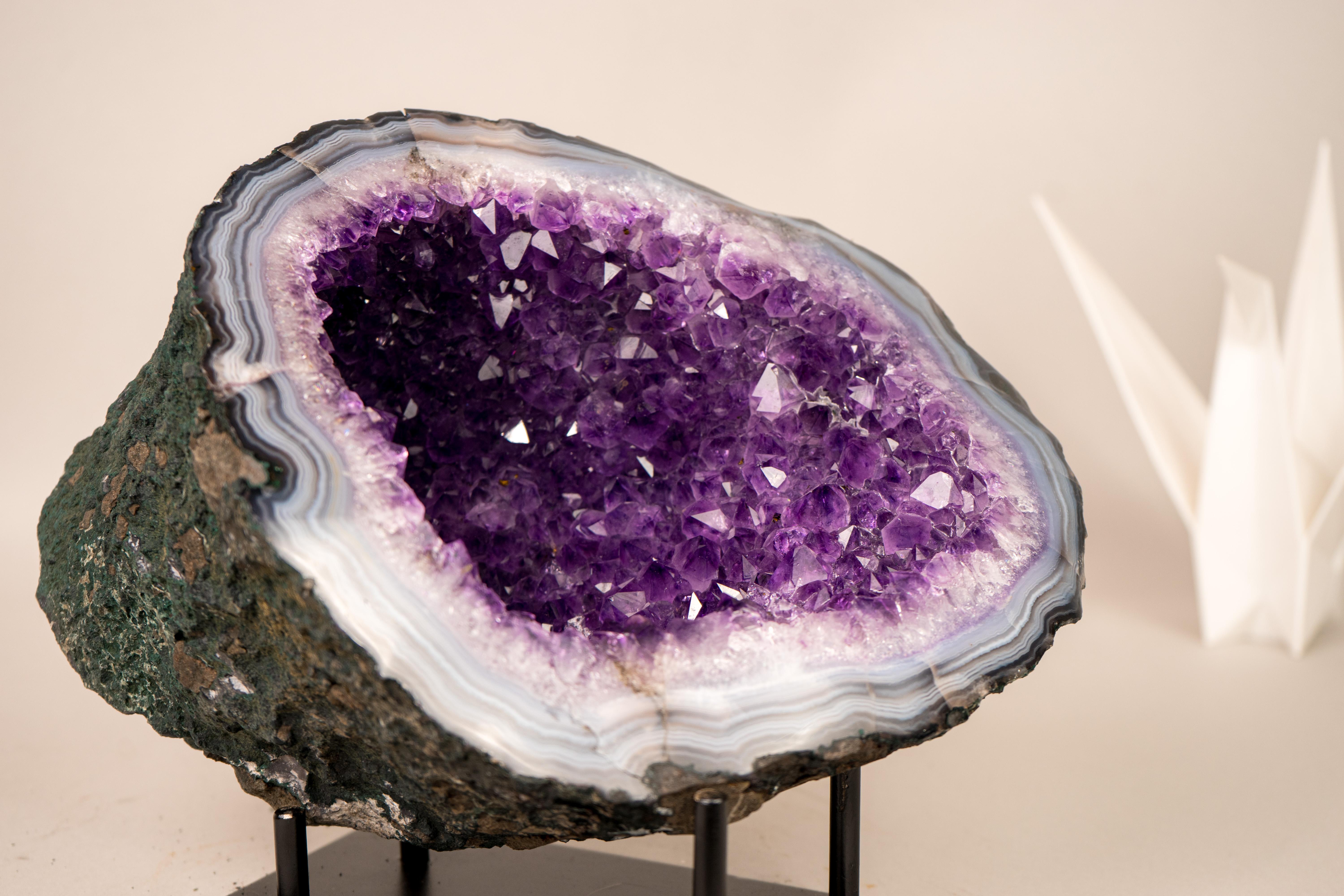 All-Natural Purple Amethyst Geode Framed by Polished Blue Lace Agate For Sale 1