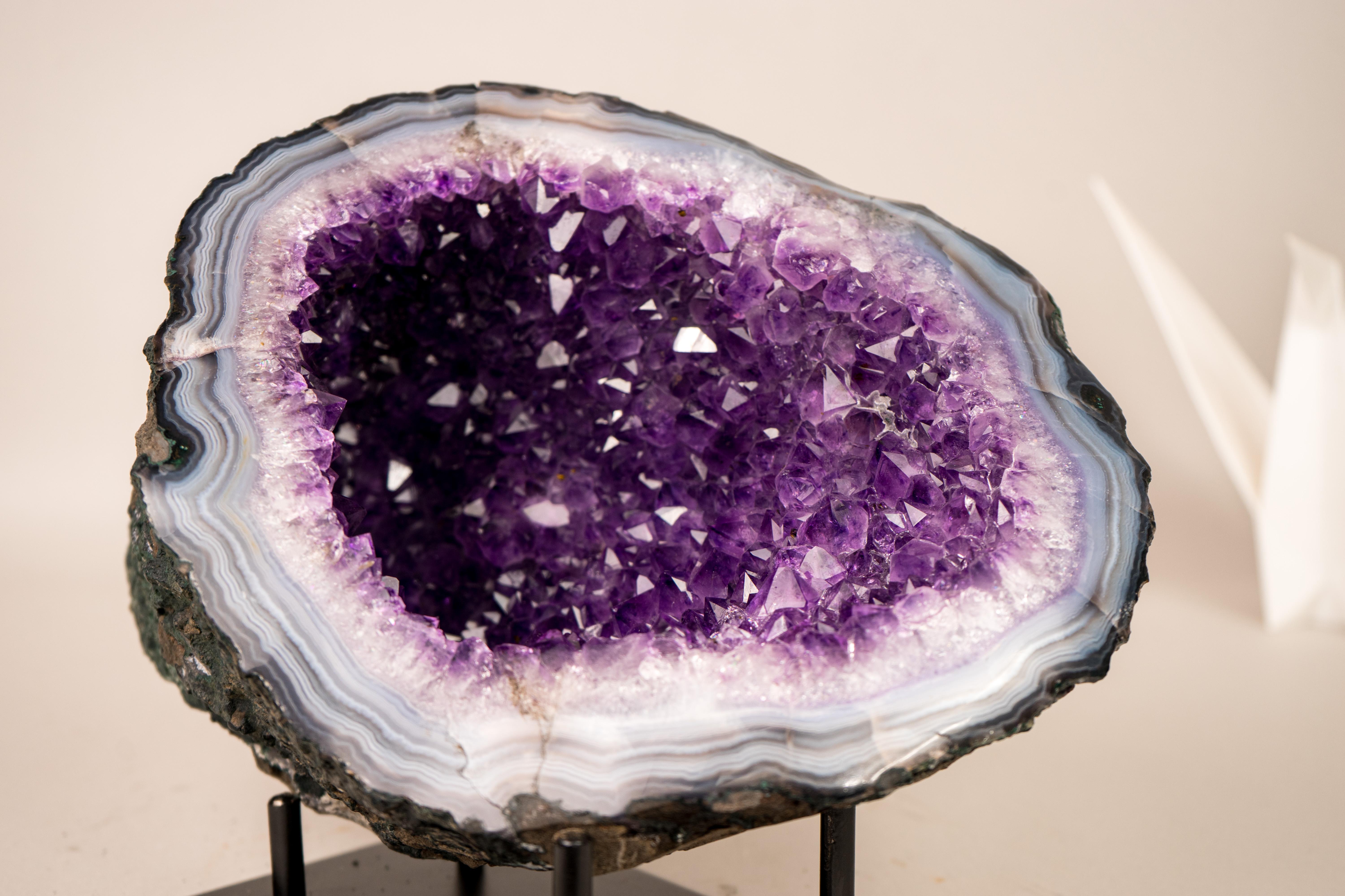All-Natural Purple Amethyst Geode Framed by Polished Blue Lace Agate For Sale 3