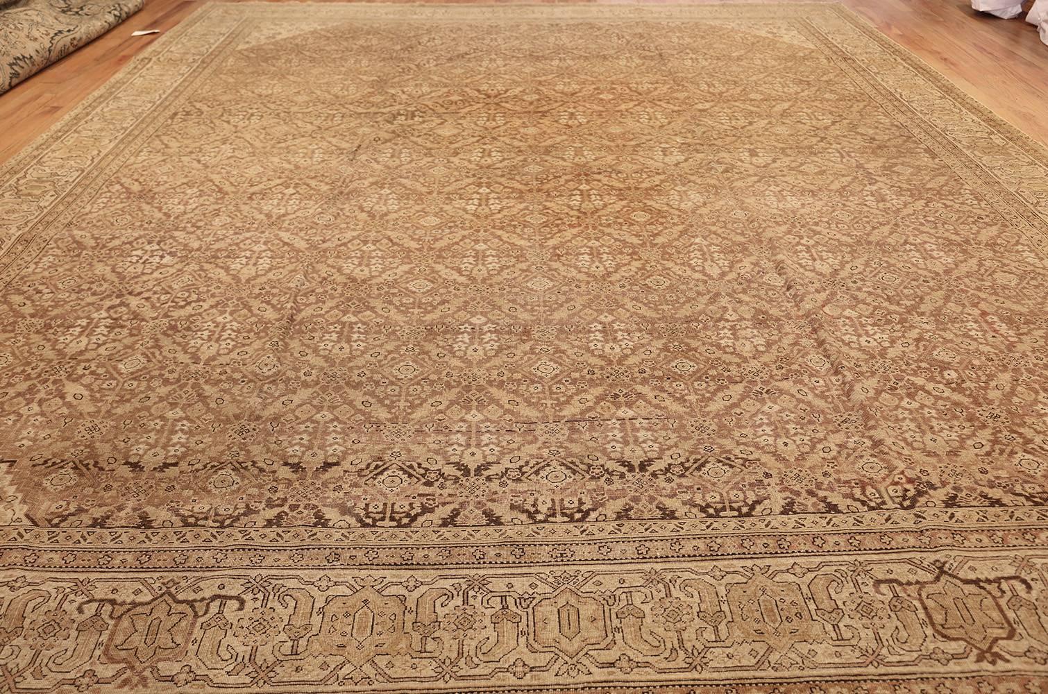 Antique Indian Amritsar Rug. Size: 12 ft 6 in x 14 ft 10 in For Sale 2