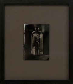 "Flowers of the Pandemic l", 2020 Tintype Photograph of Flowers in a Glass Case