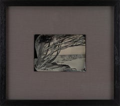 "Meditations on the PCH 12", 2017 Tintype Landscape of the California Coastline