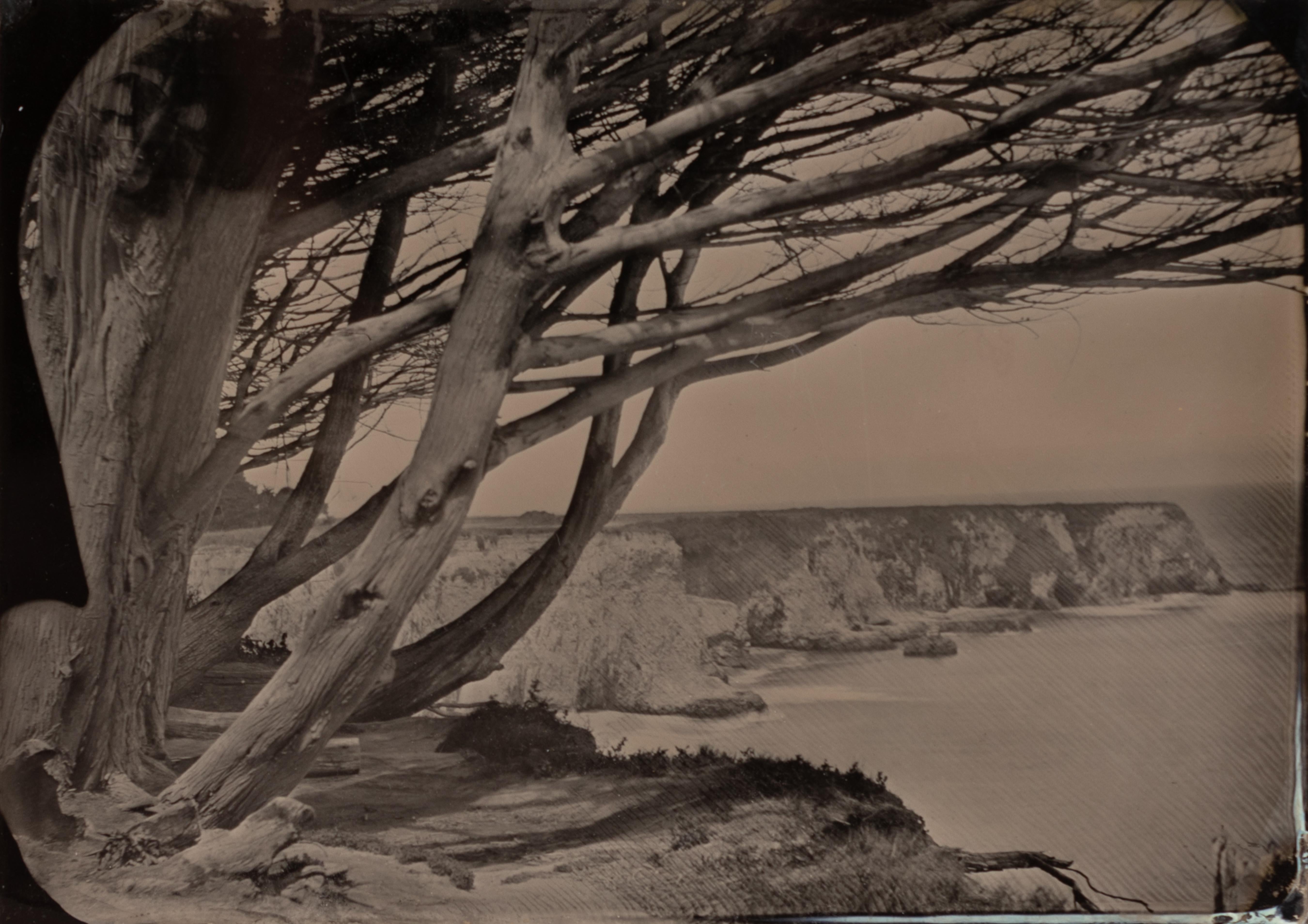 Landscape Photograph Allan Barnes - "Meditations on the PCH 12", 2017 Paysage à l'étain de la côte californienne