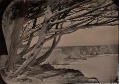 "Meditations on the PCH 12", 2017 Tintype Landscape of the California Coastline