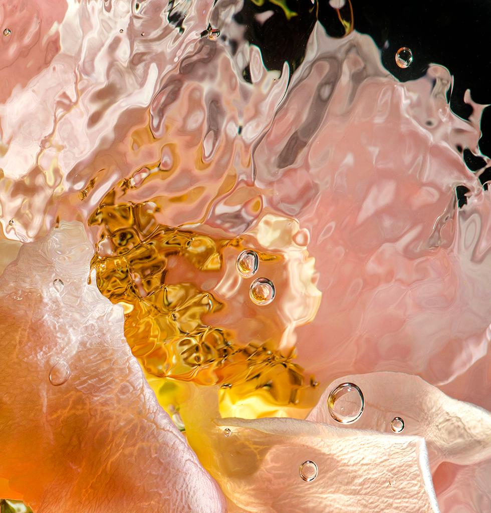 Allan Forsyth, AQUA FLORA X N°4, Statement Art, Arte sommersa, Arte contemporanea in vendita 3
