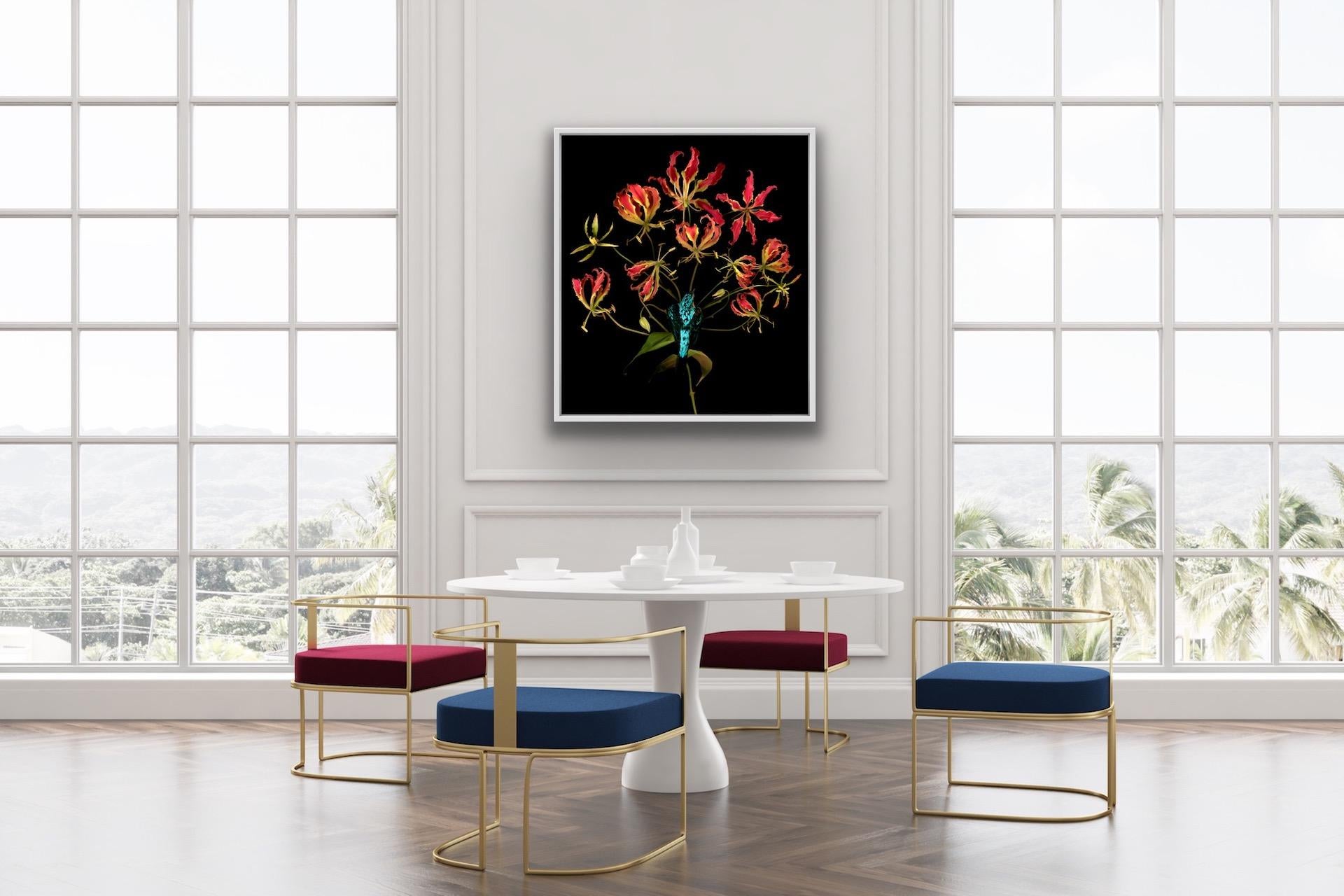 Allan Forsyth, Flame Flight, Contemporary Art, Floral Art, Art Online For Sale 1