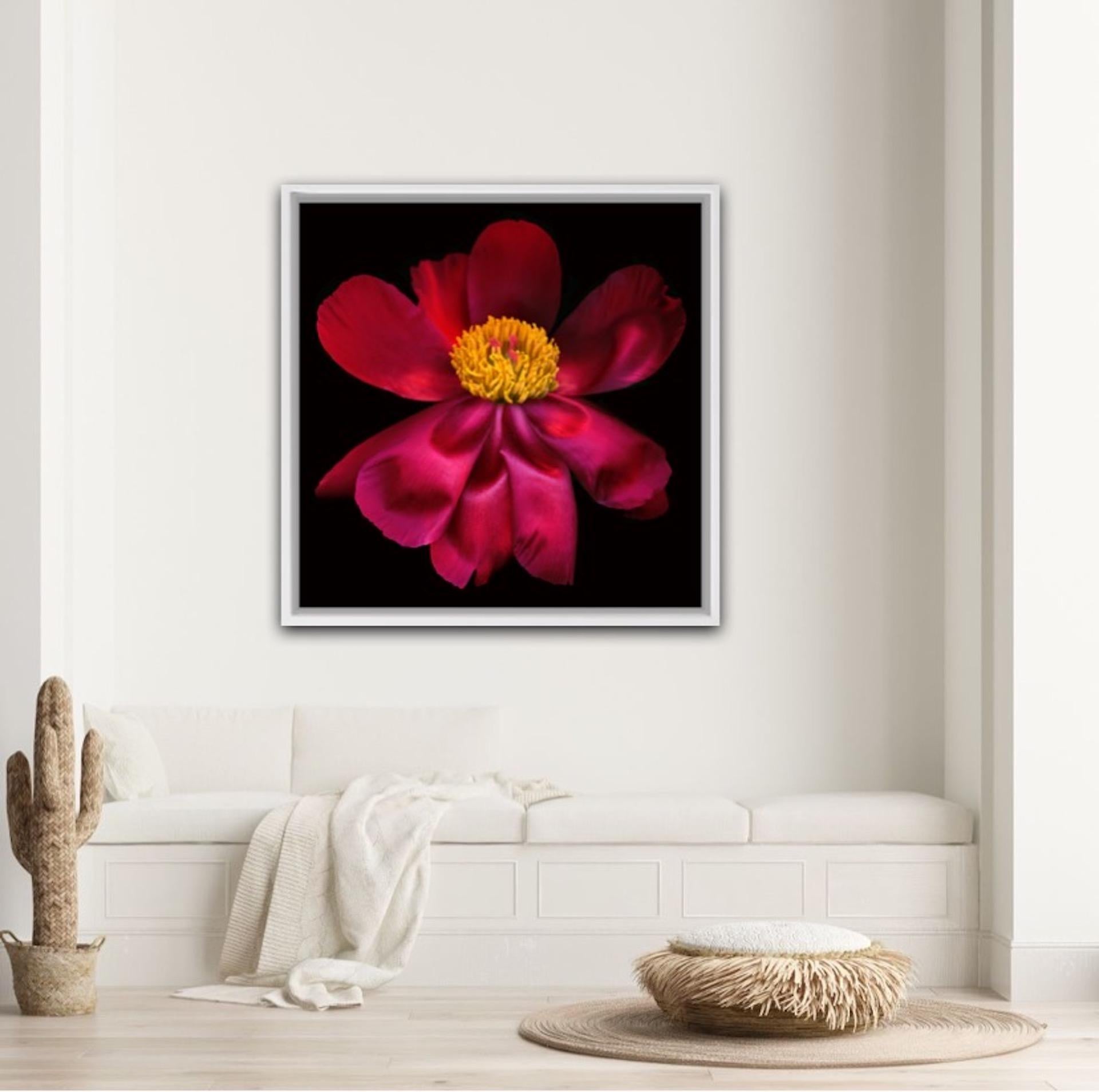 Allan Forsyth, Sans titre GARDEN 2, Art contemporain, Art floral en vente 4