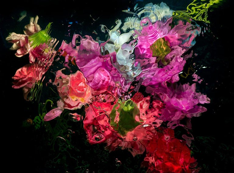 Allan Forsyth Color Photograph - Aqua Flora 007 (Plexiglas Photograph)