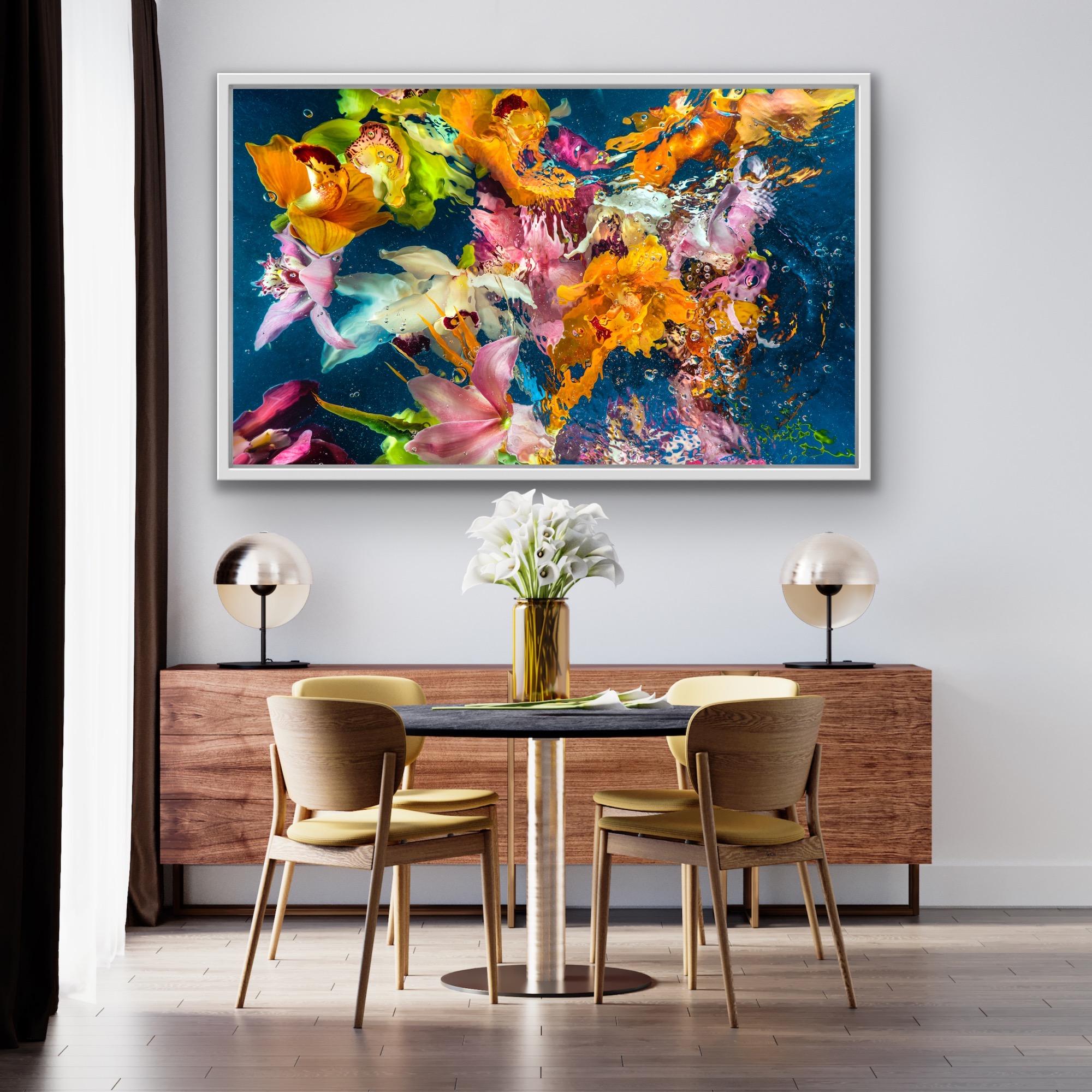 Aqua Flora No6, , Limited Edition Chromagenic Photographic Print Large Floral Art - Black Still-Life Photograph by Allan Forsyth