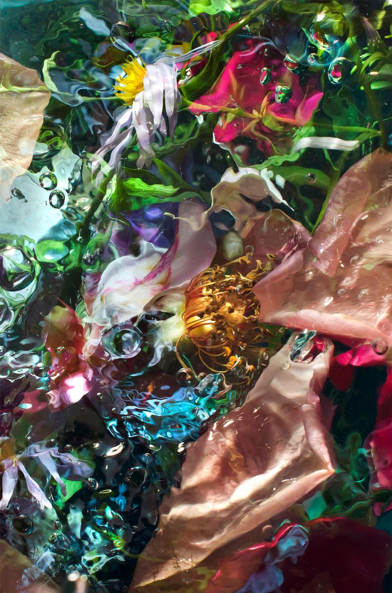 Liz Hickok - The Mission 16th and Dolores, San Francisco in Jell-O For ...