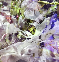 Aqua Flora X No2, Allan Forsyth, Limited Edition Chromagenic Photographic Print