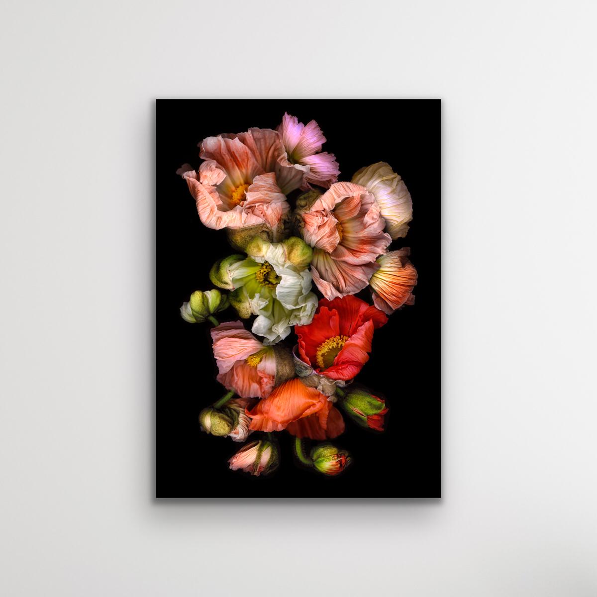 Schwarze Pelze, dramatische Fotografie, lebhafte florale Kunstwerke, Chromagenic-Druck (Realismus), Photograph, von Allan Forsyth