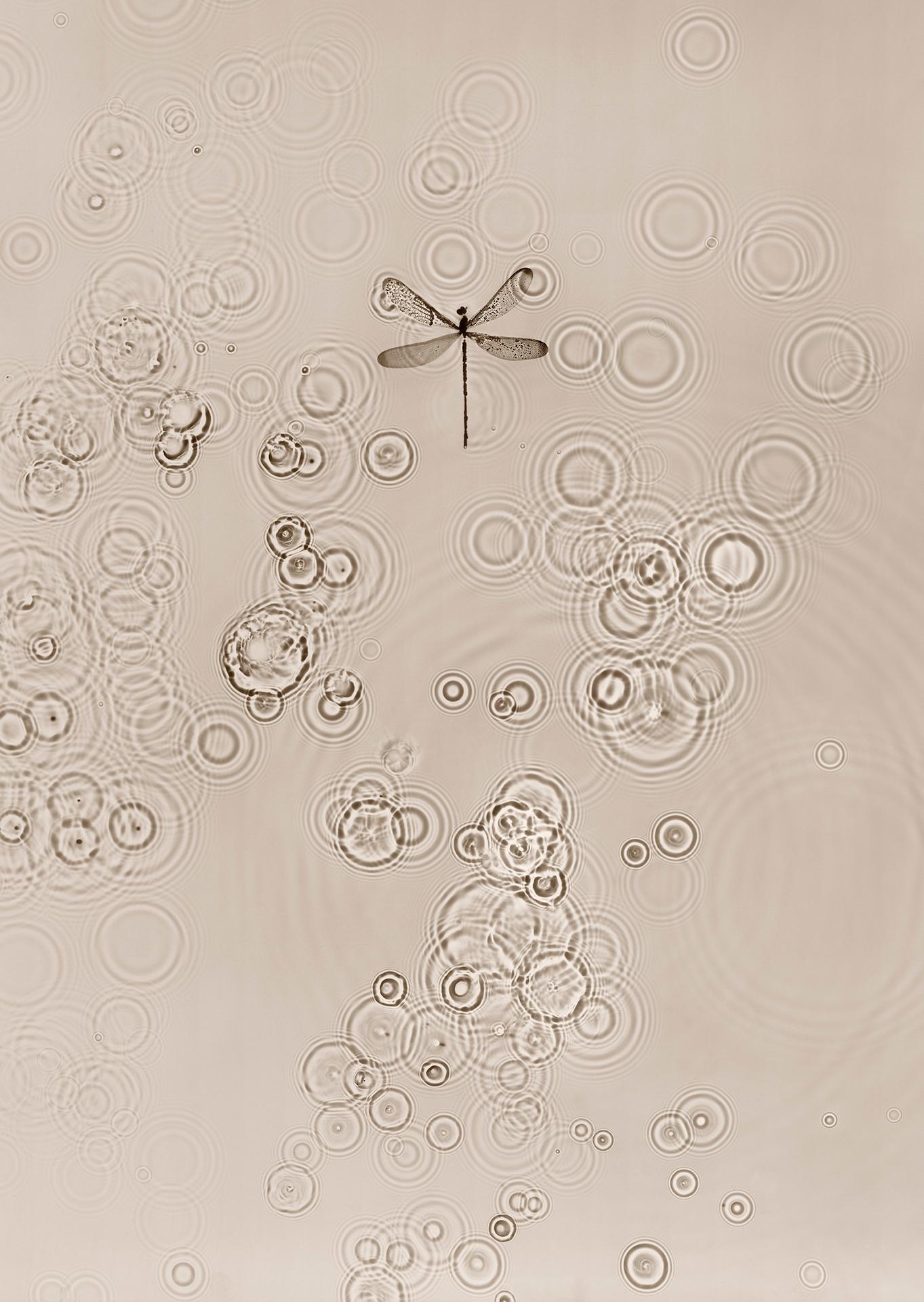 FADE INTO LIGHT 004, Allan Forsyth, limitierte Auflage Minimalistische Kunst, Neutralkunst im Angebot 1