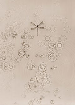 FADE INTO LIGHT 004, Allan Forsyth, Limited Edition Minimalist Art, Neutral Art
