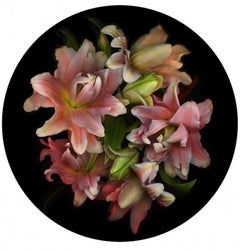 Flora Odyssey No6, Allan Forsyth, Floral Photographic Print, Limited Edition Art