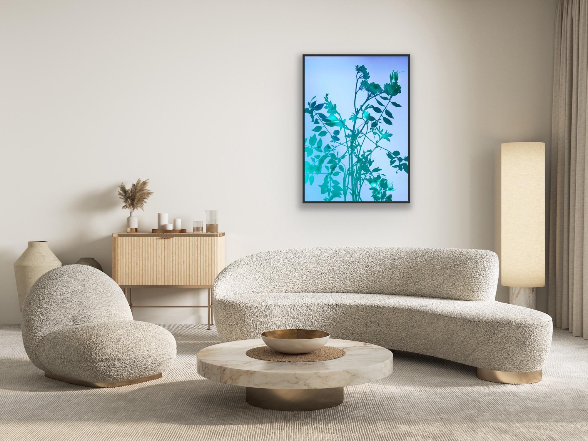 A photogram is a photographic image made without a camera by placing objects directly onto the surface of a light-sensitive material such as photographic paper and then exposing it to light. The usual result is a negative shadow image that shows