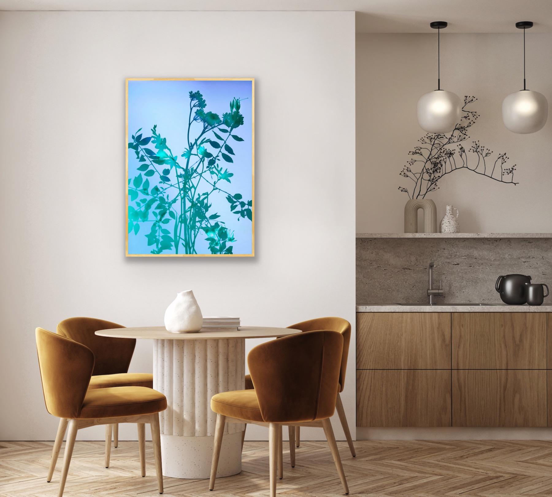 GENTLE SPIRIT N°9, Photographic Print, Plants, Nature, Photography For Sale 2