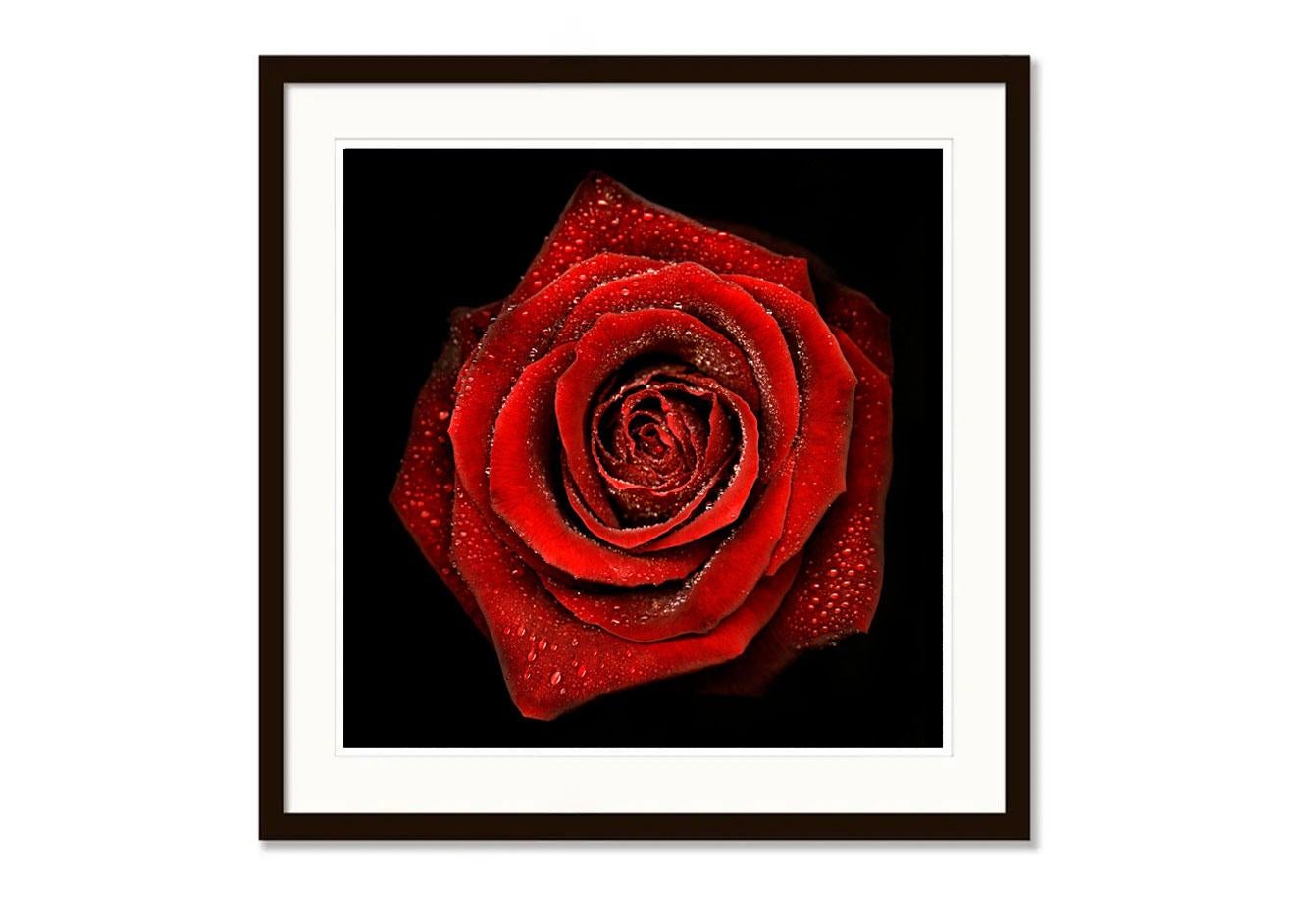 Auflage von 25 Stück

C-Print montiert auf Plexiglas DIASEC

Der in den schottischen Highlands geborene FORSYTH bringt seine Liebe zur Dramatik der Natur in sein Werk ein. Sein Blumenaquarell Aqua Flora versucht, die Schönheit natürlicher Formen,
