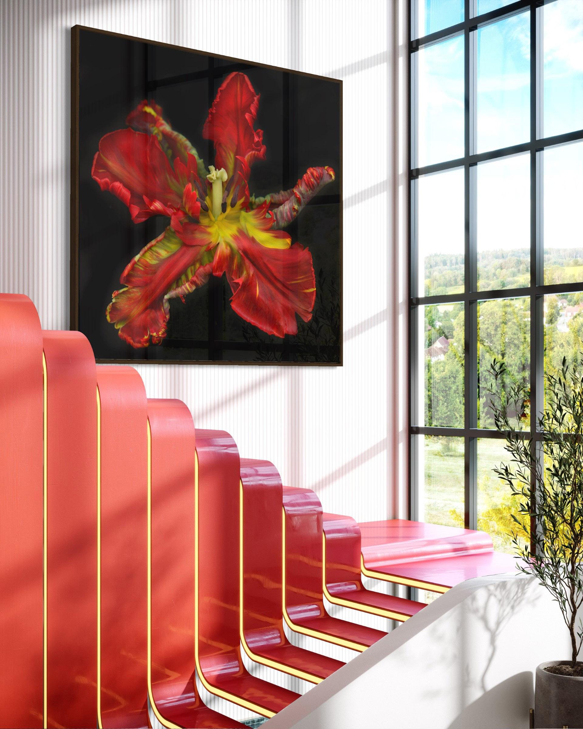 UNTITLED GARDEN 7, Photographie florale, Contemporary, Floral, Paper en vente 1