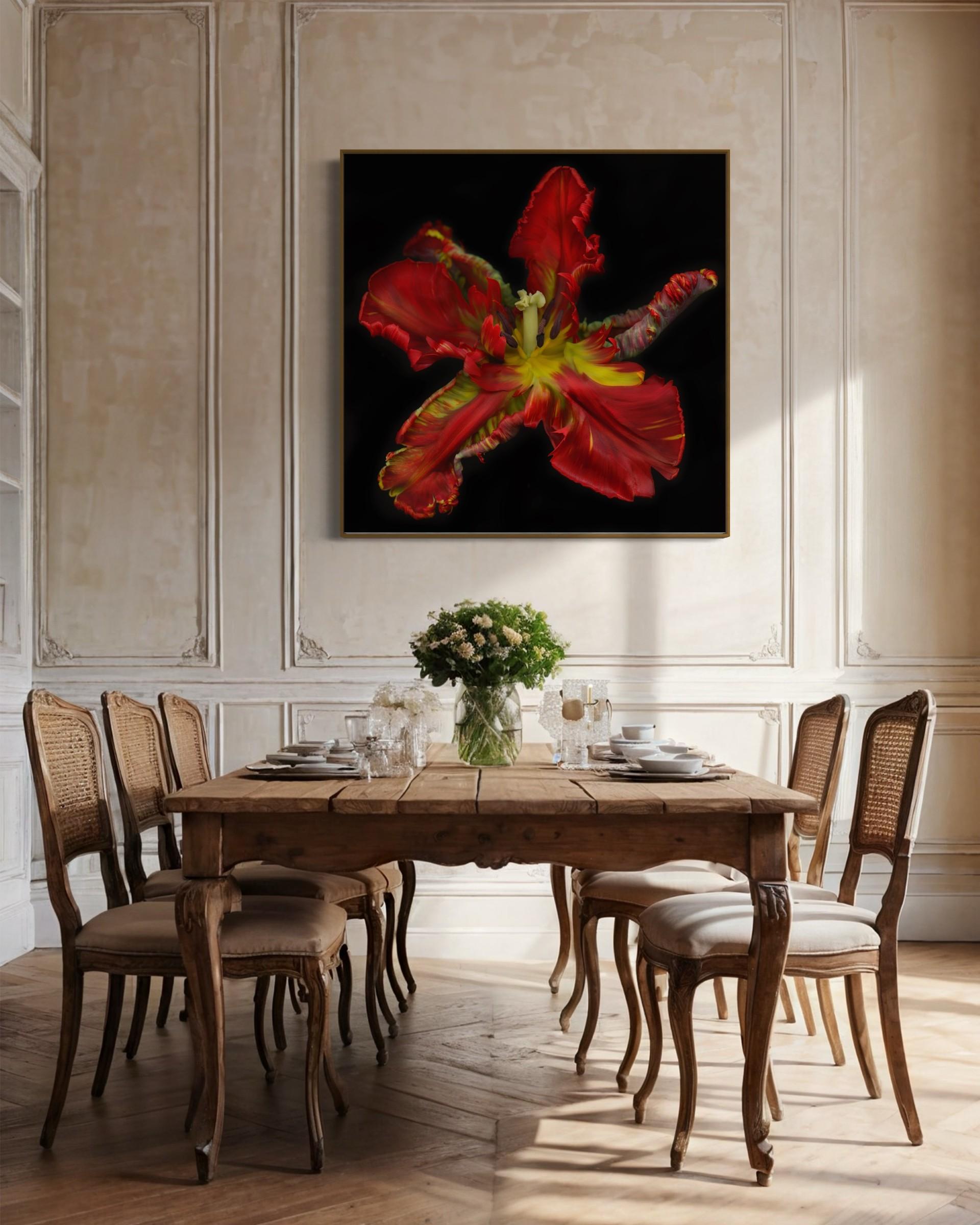 UNTITLED GARDEN 7, Photographie florale, Contemporary, Floral, Paper en vente 3