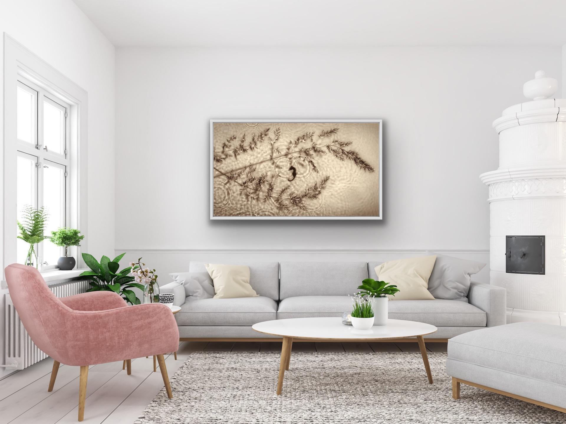 Allan Forsyth, Fade into Light 006, Fotogramm, Zeitgenössische Kunst im Angebot 5