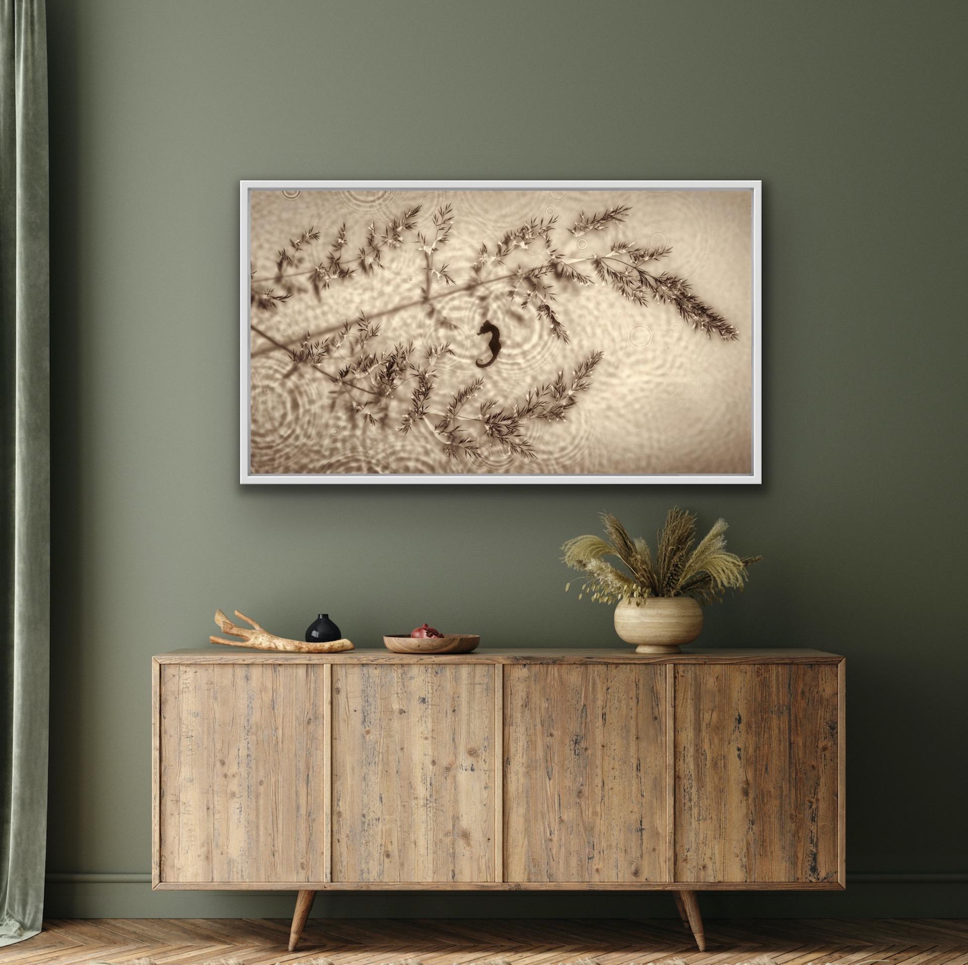 Allan Forsyth, Fade into Light 006, Fotogramm, Zeitgenössische Kunst im Angebot 6