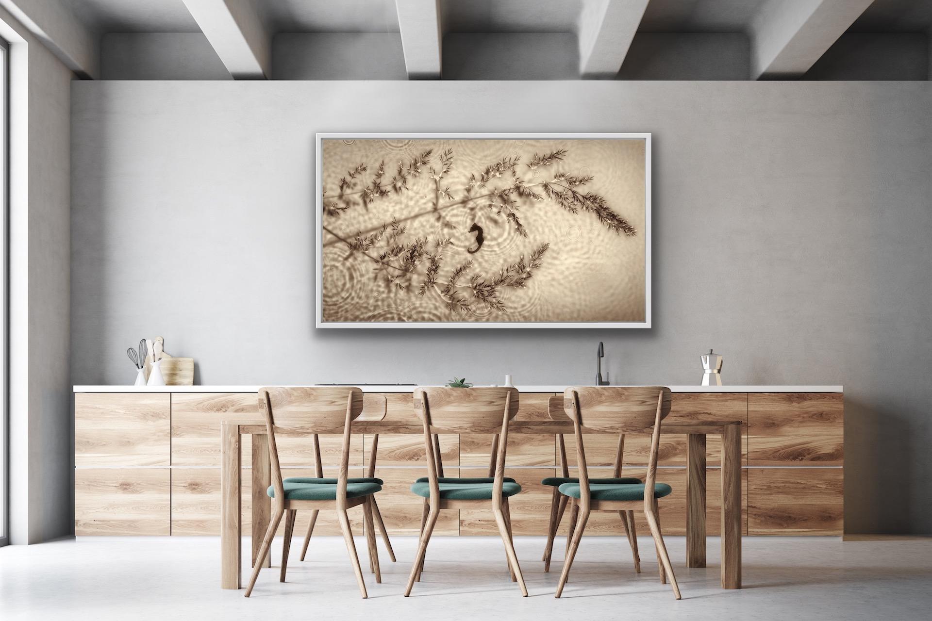 Allan Forsyth, Fade into Light 006, Fotogramm, Zeitgenössische Kunst im Angebot 7