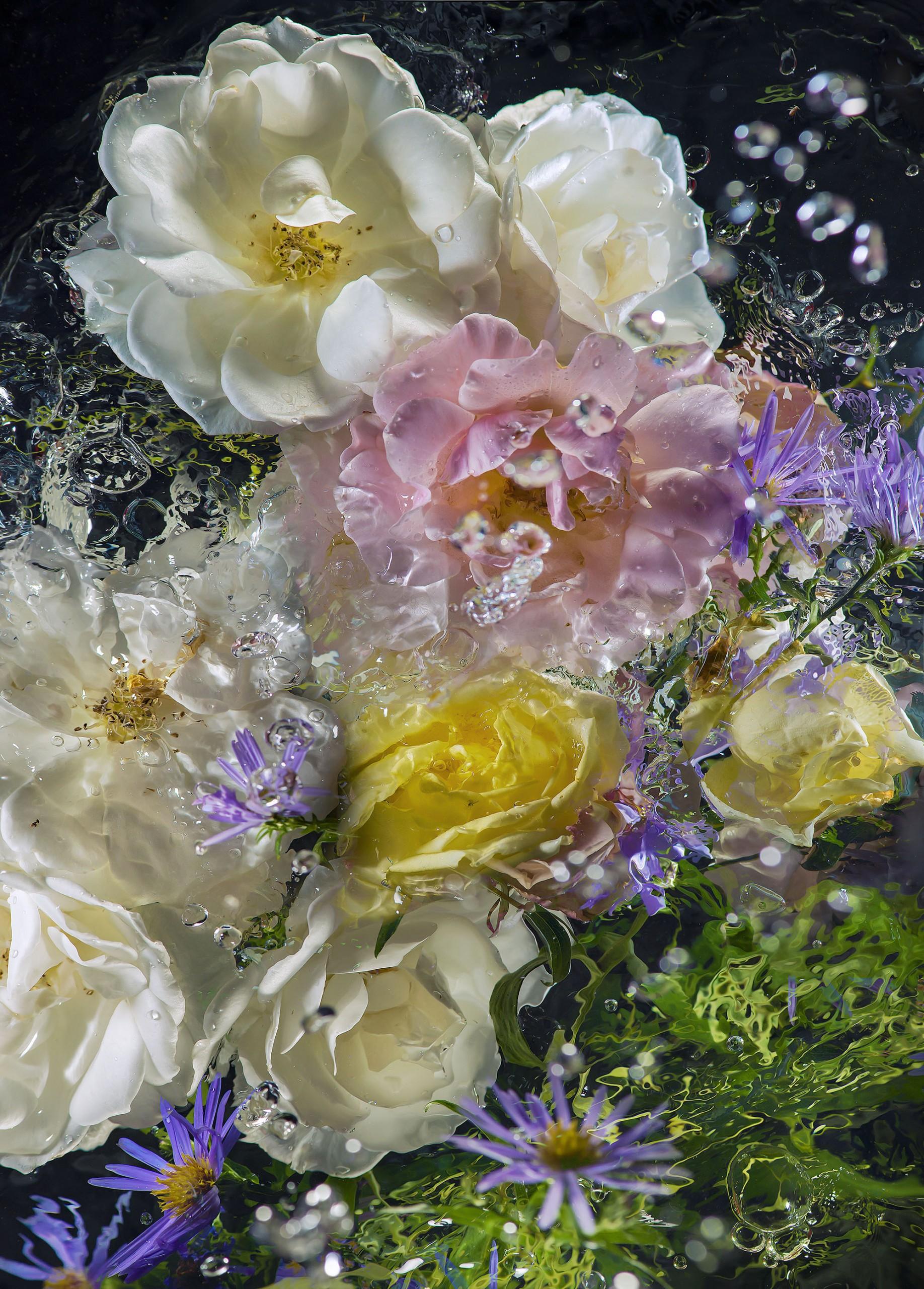 Allan Forsyth Still-Life Print – Aqua Flora X No 15, Blumenkunst, Kunst in limitierter Auflage, Fotodruck
