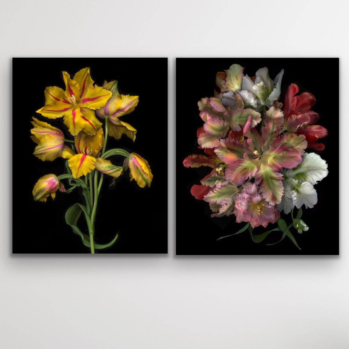 FLORA ODYSSEY N°2 y Western Lullabies N°6 díptico, Impresión artística, Floral, Plantas en venta 1
