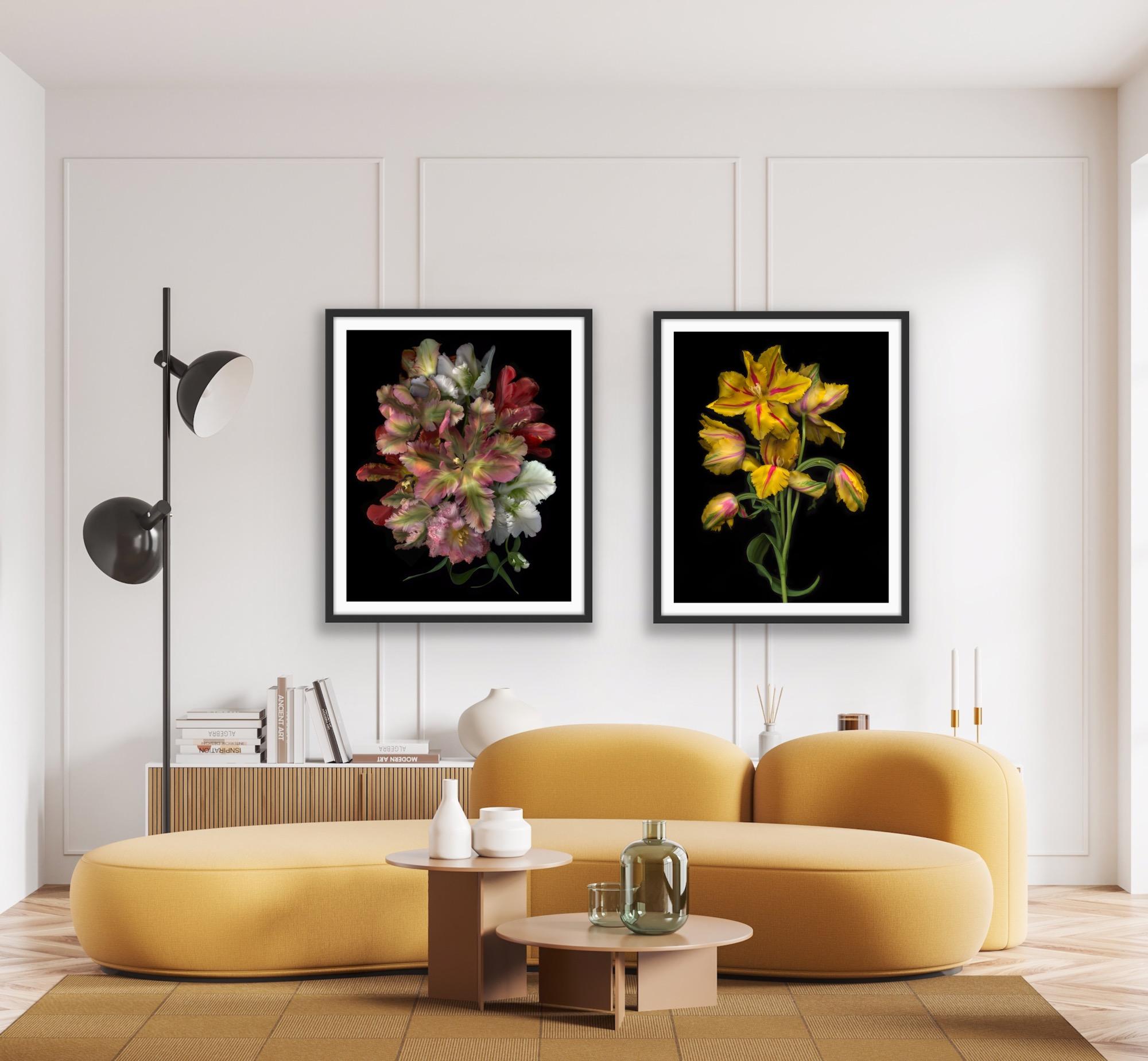 FLORA ODYSSEY N°2 y Western Lullabies N°6 díptico, Impresión artística, Floral, Plantas en venta 2