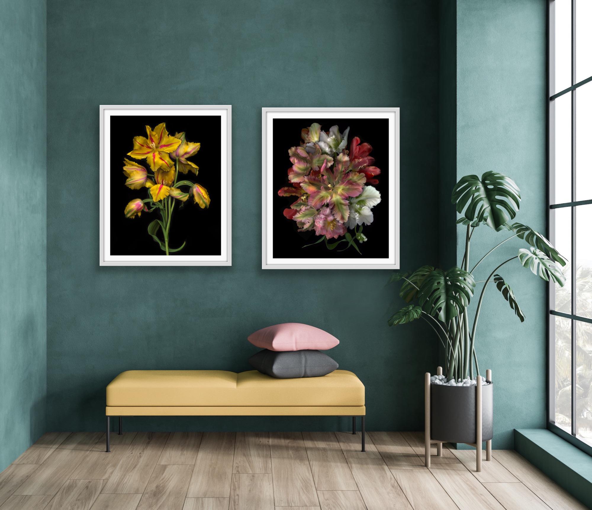 FLORA ODYSSEY N°2 y Western Lullabies N°6 díptico, Impresión artística, Floral, Plantas en venta 3