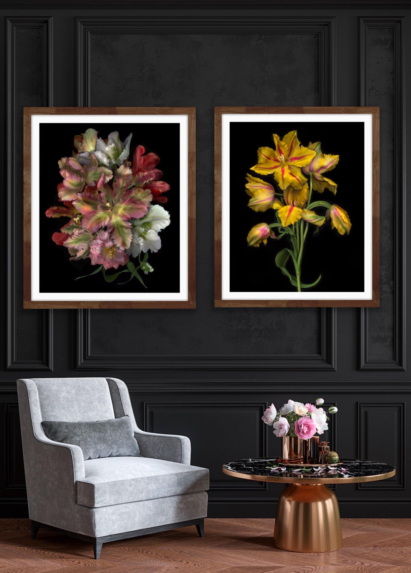 FLORA ODYSSEY N°2 y Western Lullabies N°6 díptico, Impresión artística, Floral, Plantas en venta 4