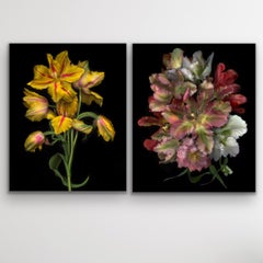 FLORA ODYSSEY N°2 and Western Lullabies N°6 diptych, Art print, Floral, Plants