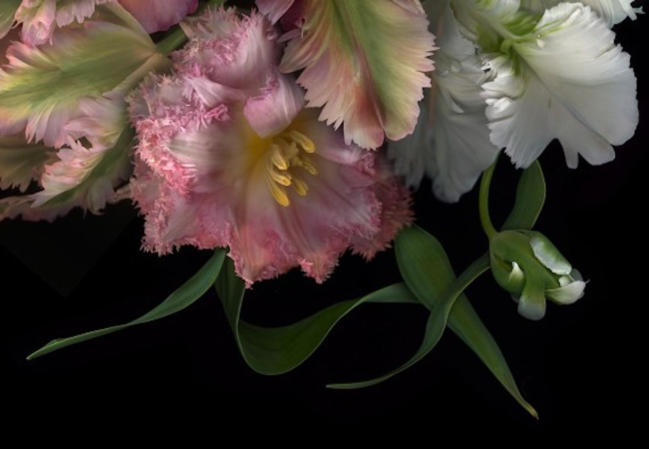 FLORA ODYSSEY N°2, Stampa d'arte, Floreale, Piante, Arte dei fiori, Arte su carta in vendita 2