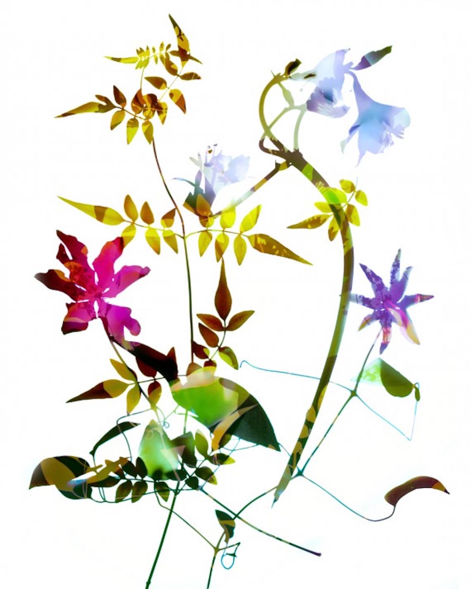 Gentle Spirit No 12, Floral Statement Art, Light Bright Contemporary Art