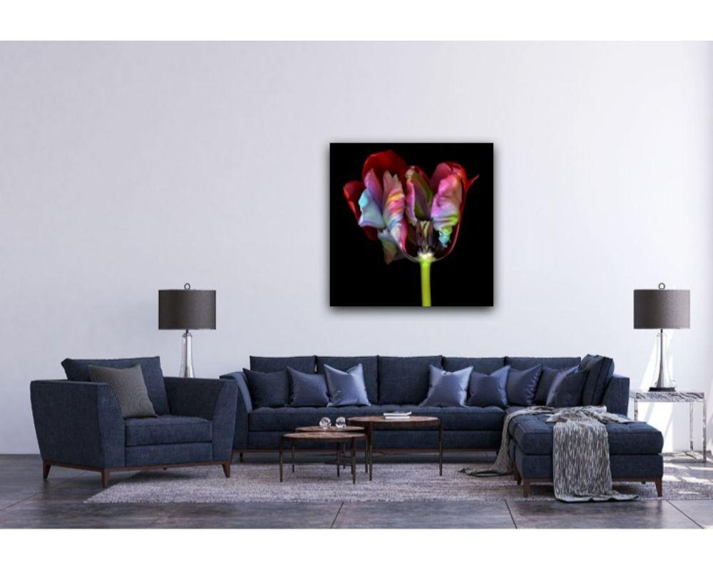 Ghost Flower 2 with Photographic Print by Allan Forsyth For Sale 1