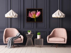 Ghost Flower No 8, floral photography, pink art, limited edition print