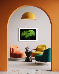 Ginko Biloba No. 1, floral photography, limited edition print, green art