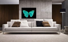 Tranquillisant, Papillon