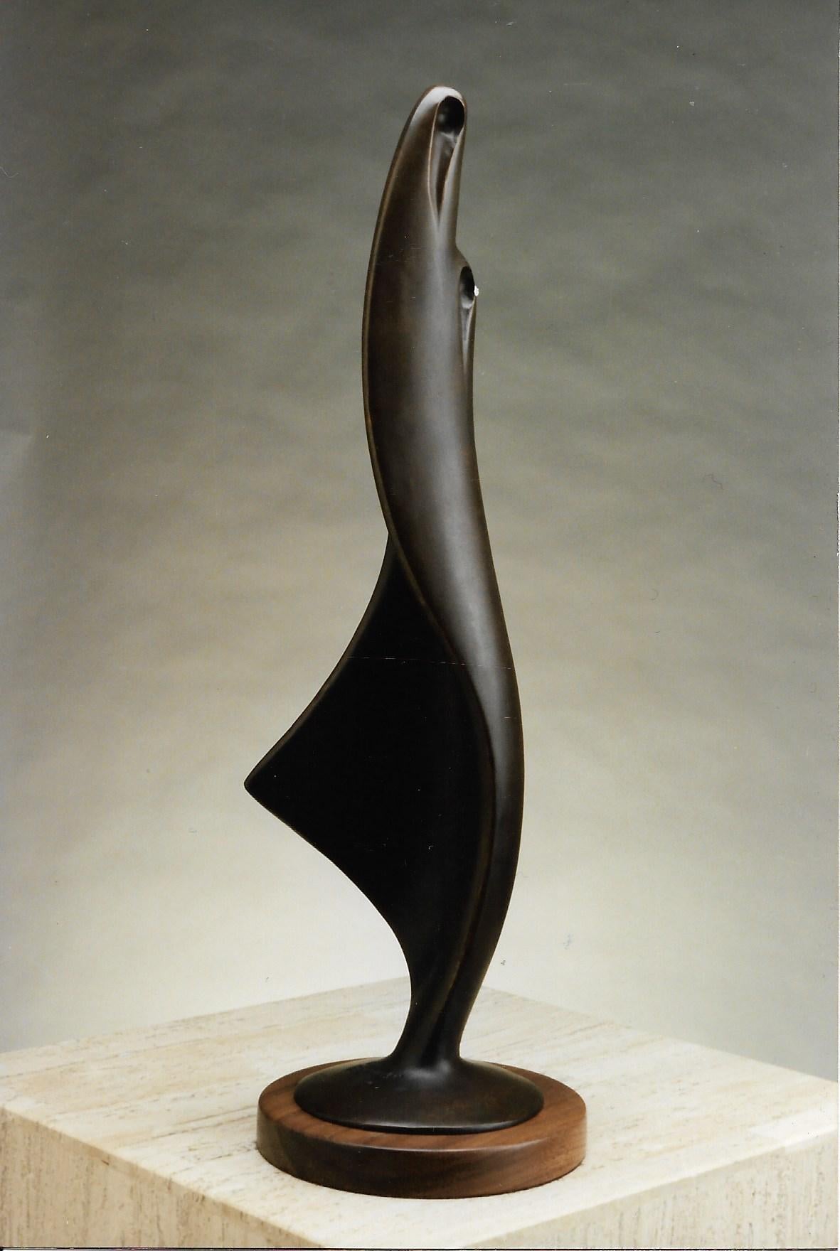 Brise du désert, Sculpture d'Allan Houser Haozous, Bronze, Figures masquées, Apache

Allan Houser a été représenté par Glenn Green Galleries (anciennement connu sous le nom de The Gallery Wall, Inc.) de 1973 jusqu'à sa mort en 1994.

Sandy Green a