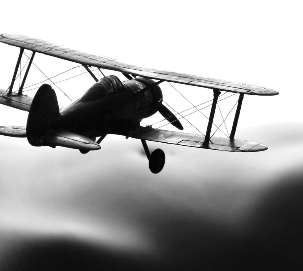 L'avion - Photograph de Allan I. Teger