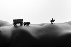 Conastoga-Wagon – Schwarz-Weiß-Fotografie