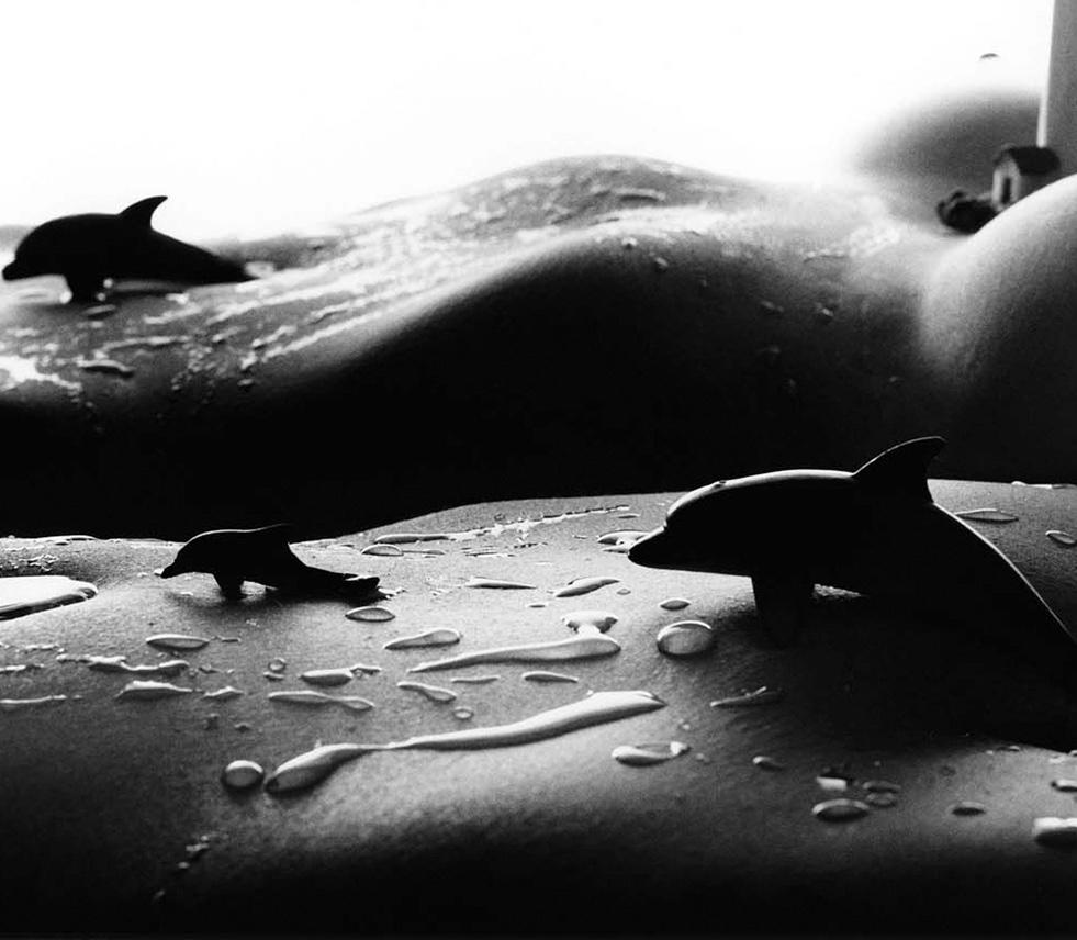 Dolphins - black and white photography - Photograph by Allan I. Teger