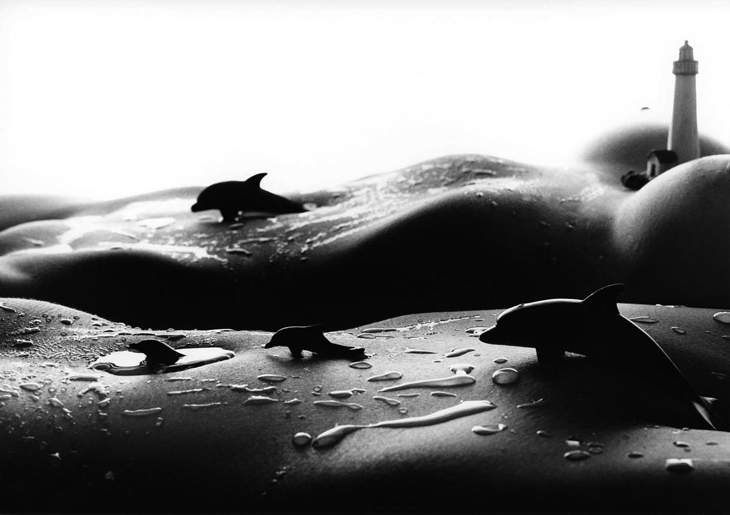 Dolphins - black and white photography