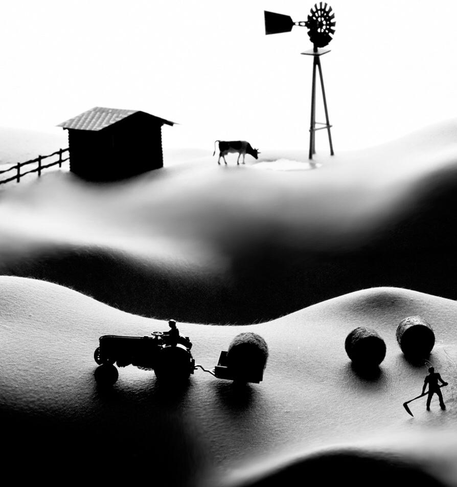 Farming - Fermeture - Contemporain Photograph par Allan I. Teger