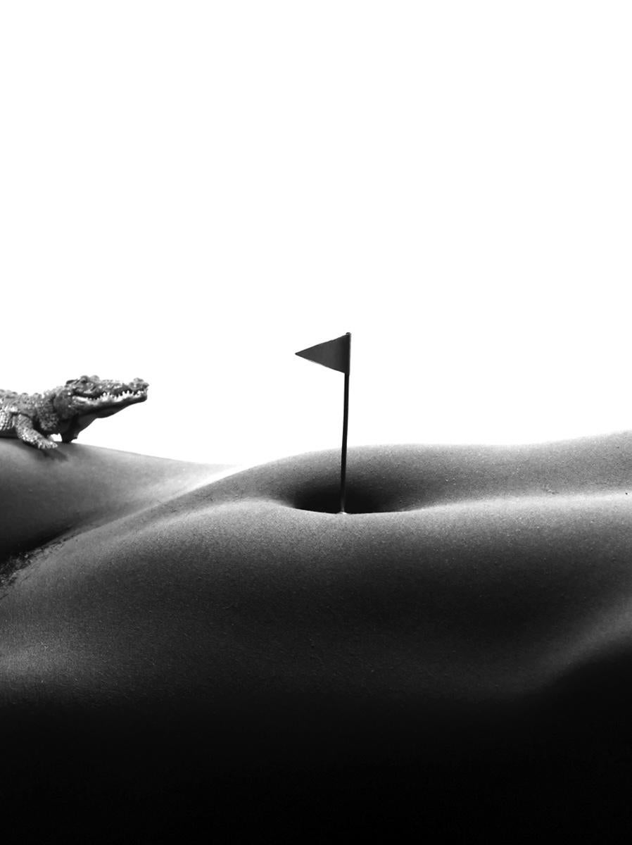 Gold and gator - black and white photography - Photograph by Allan I. Teger