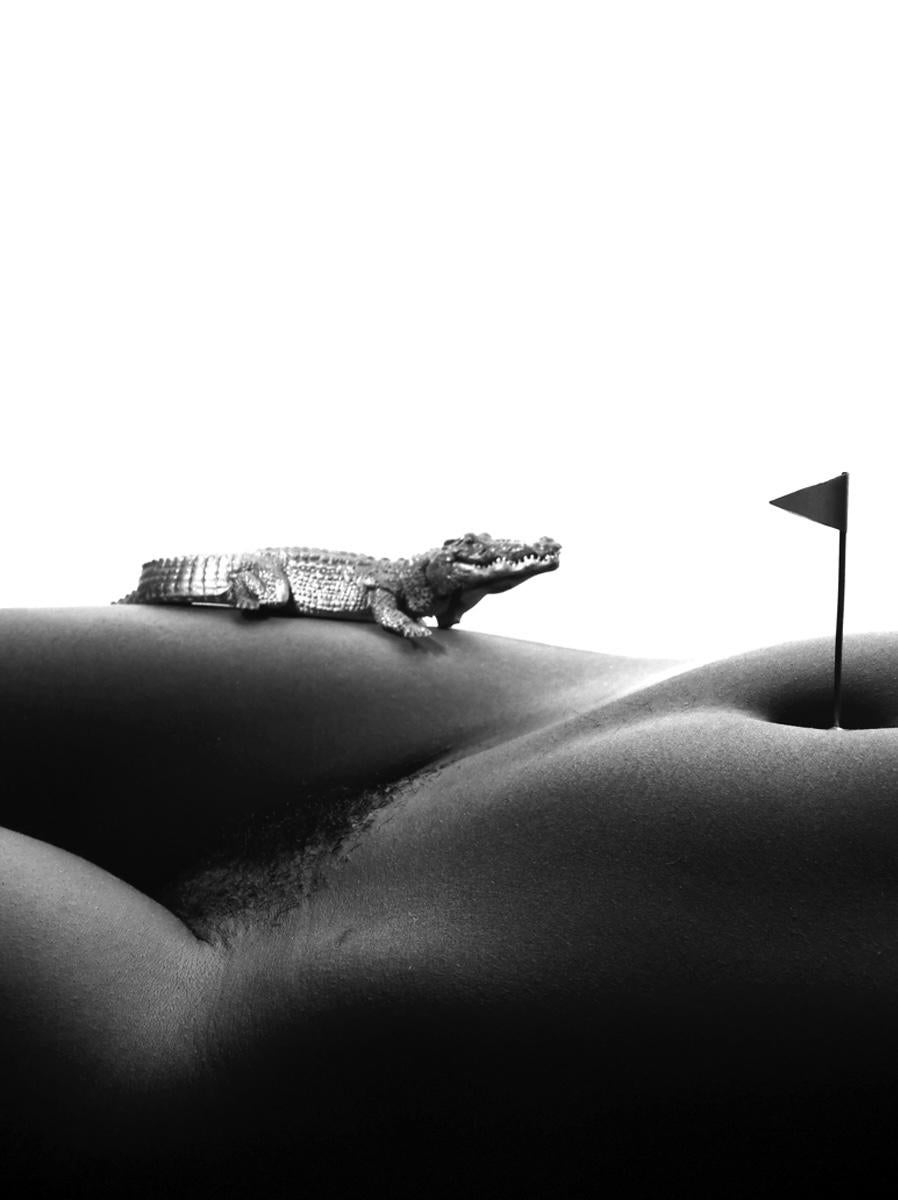 Gold and gator - black and white photography For Sale 1