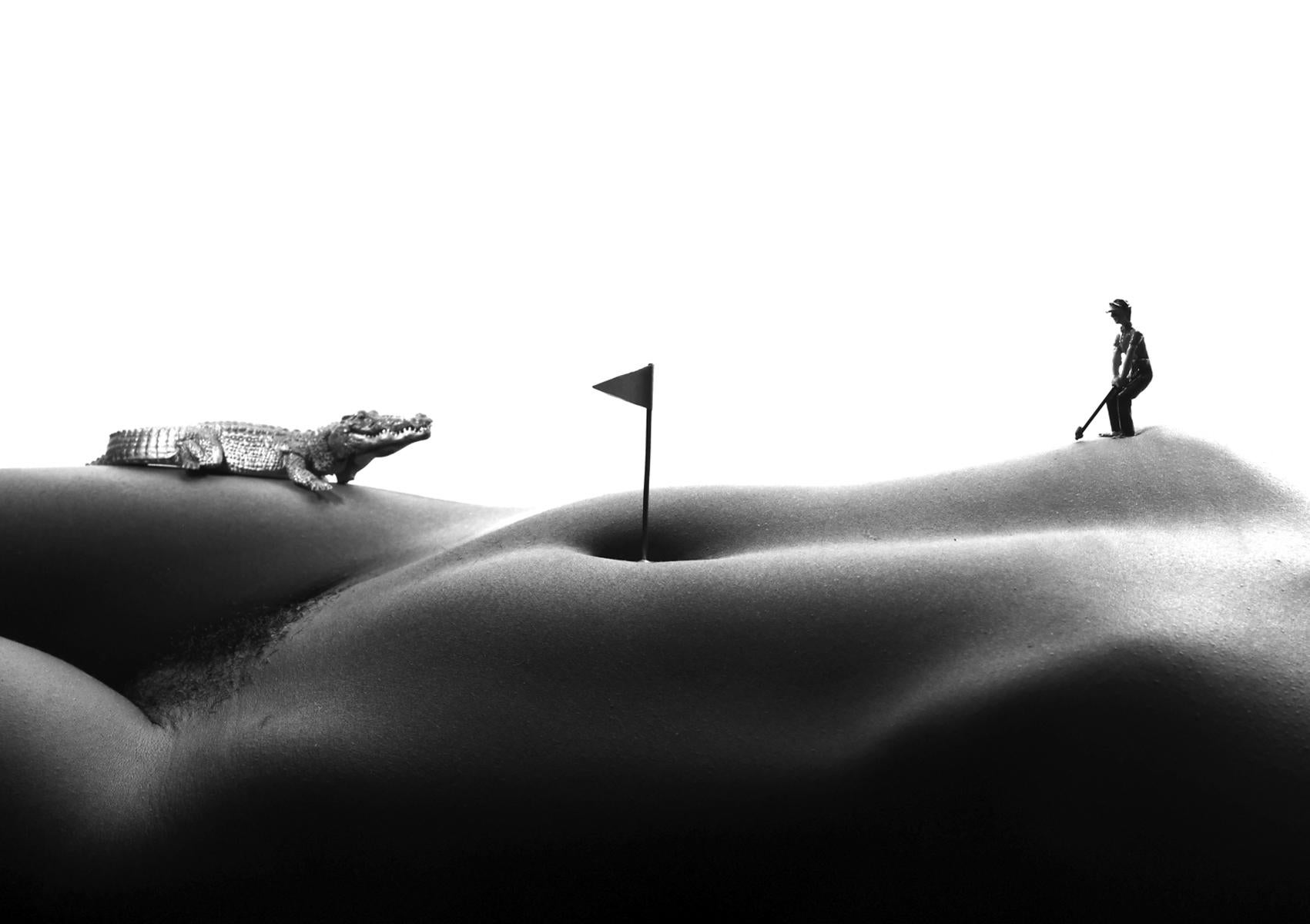 Allan I. Teger Black and White Photograph - Gold and gator - black and white photography