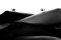 Horses on ridges - black and white photography