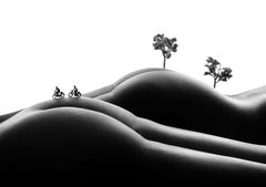 Two Bikes - black and white photography