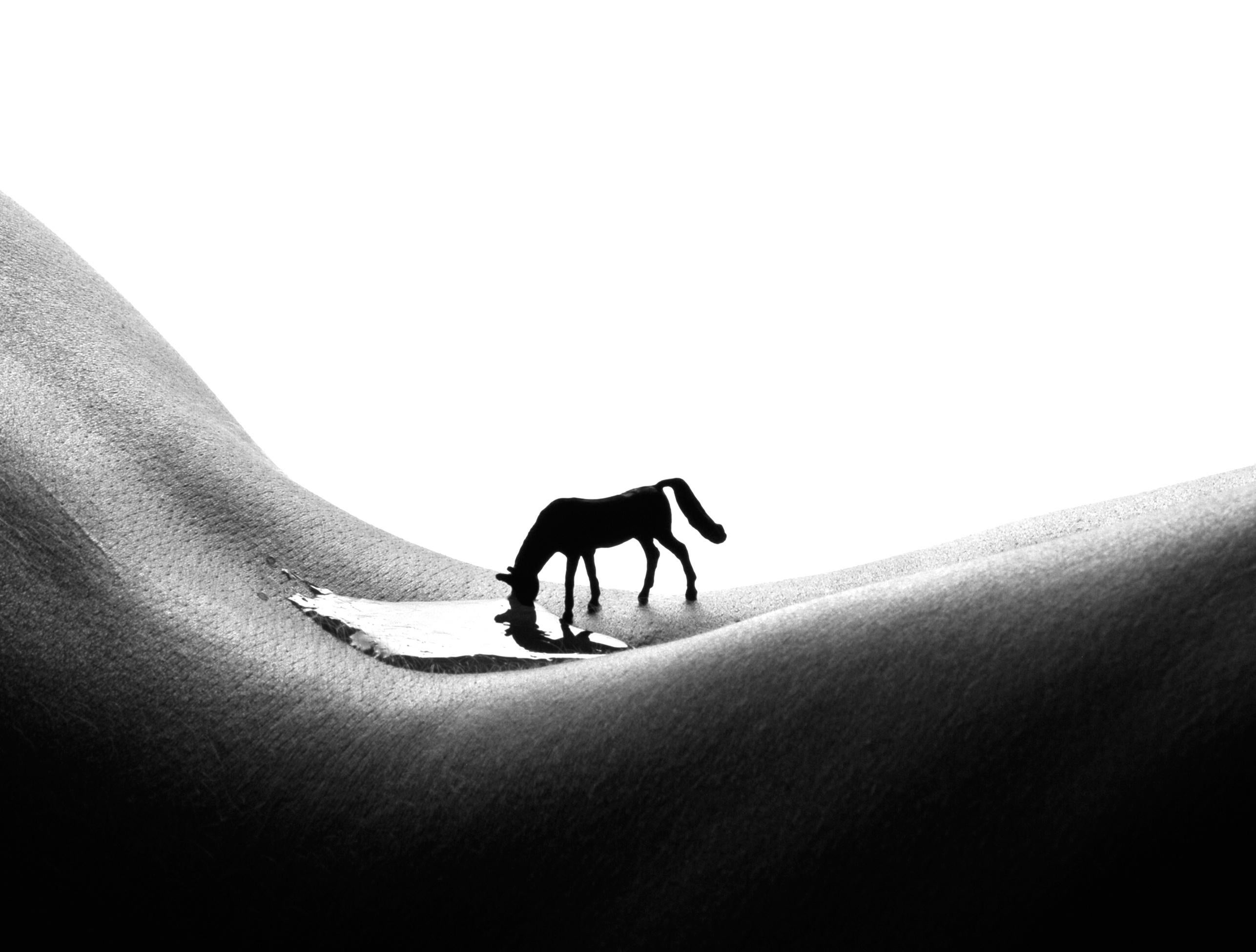 Deux chevaux - photographies en noir et blanc - Contemporain Photograph par Allan I. Teger